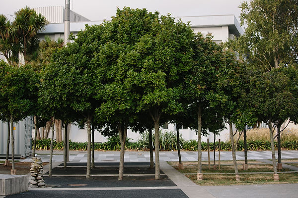 Egmont_Dixion (40 of 143).jpg