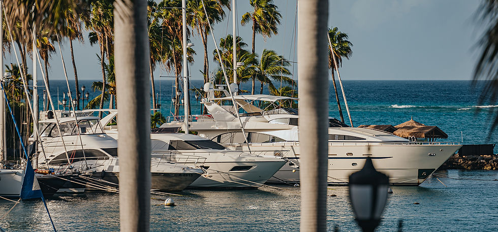 ARTNPHOTOARUBA-79.jpg