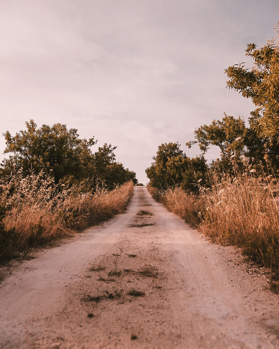 driving-in-sicily