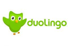 duolingo app logo
