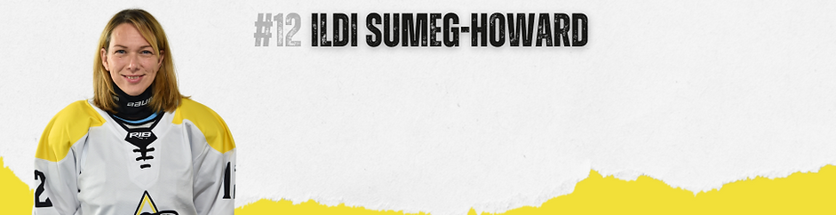 ILDI SUMEG-HOWARD.png