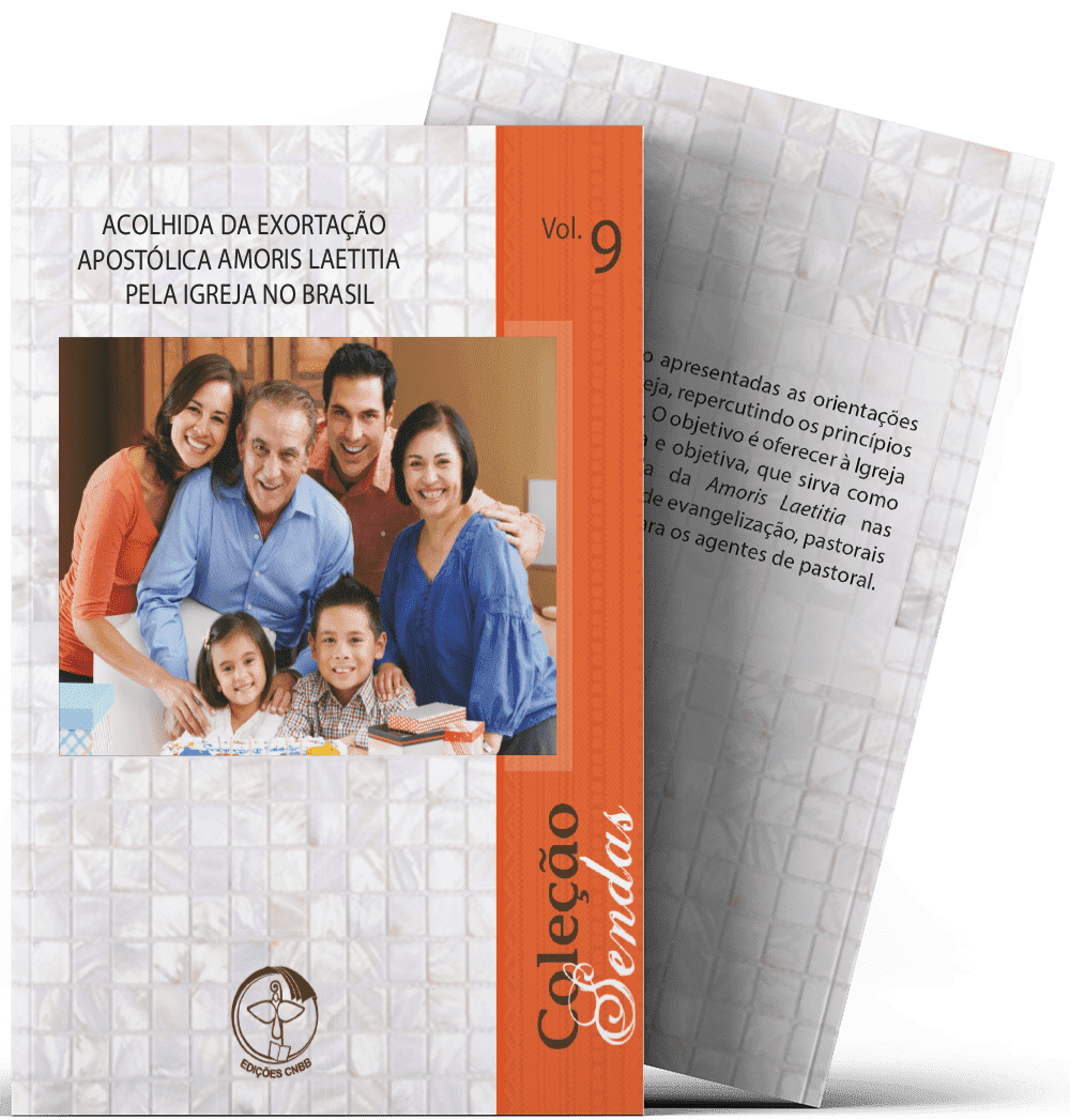 Acolhida da Exortação Apostólica Amoris Laetitia Pela Igreja no Brasil Vl 9