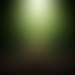 A Semente da Esperança