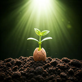 A Semente da Esperança