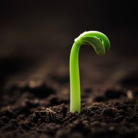 Separado para uma missão