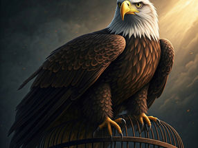 Quebre as Correntes e Voe Alto