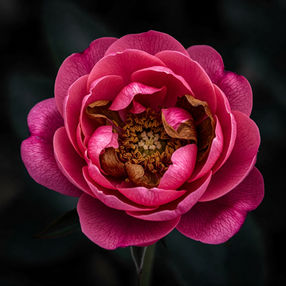 Além das Aparências