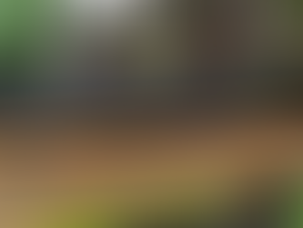 The Ultimate Guide to Residential Fencing in Medford: Security, Privacy, and Curb Appeal written by experienced Fencing Contractors.