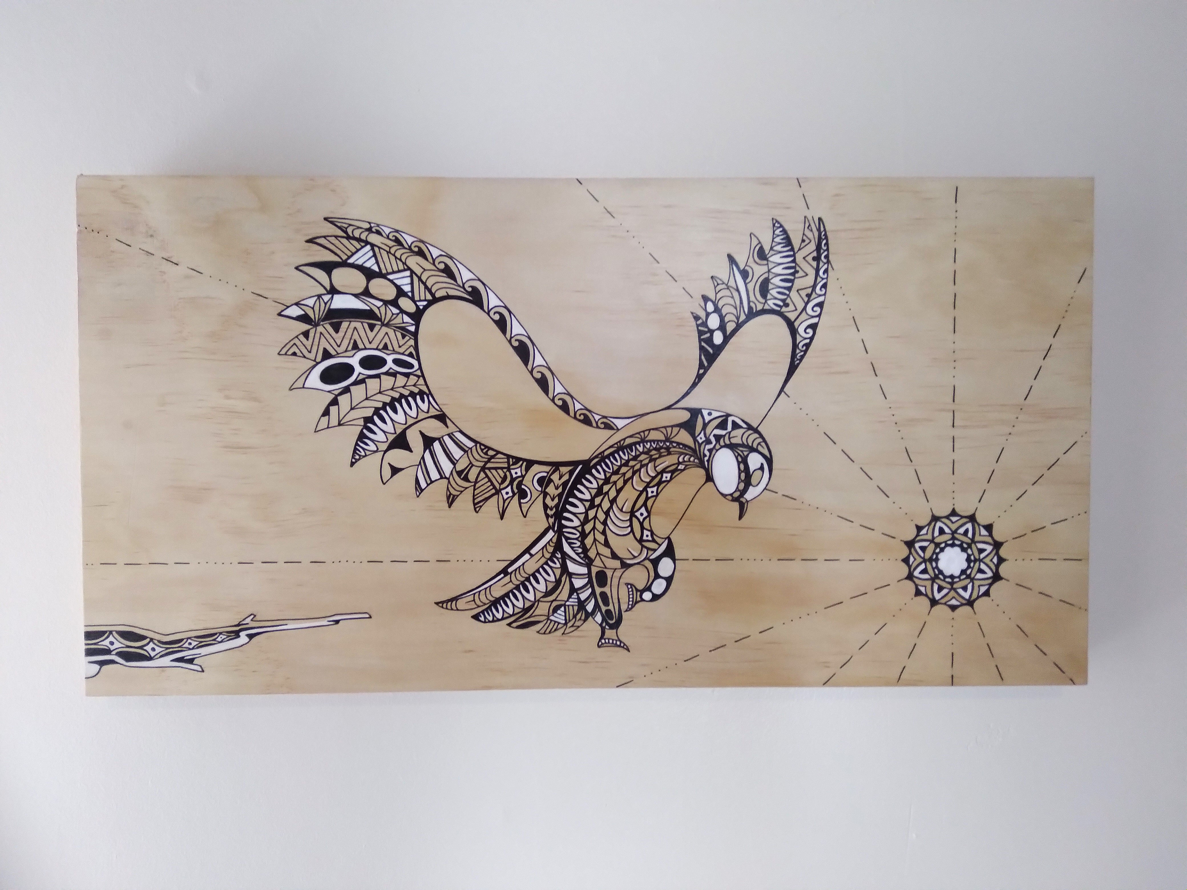 Karearea (NZ falcon)