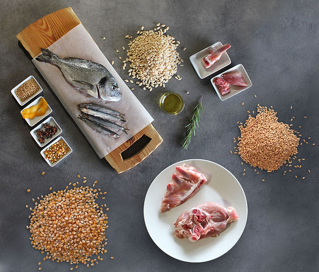 ingredienti (1).jpg