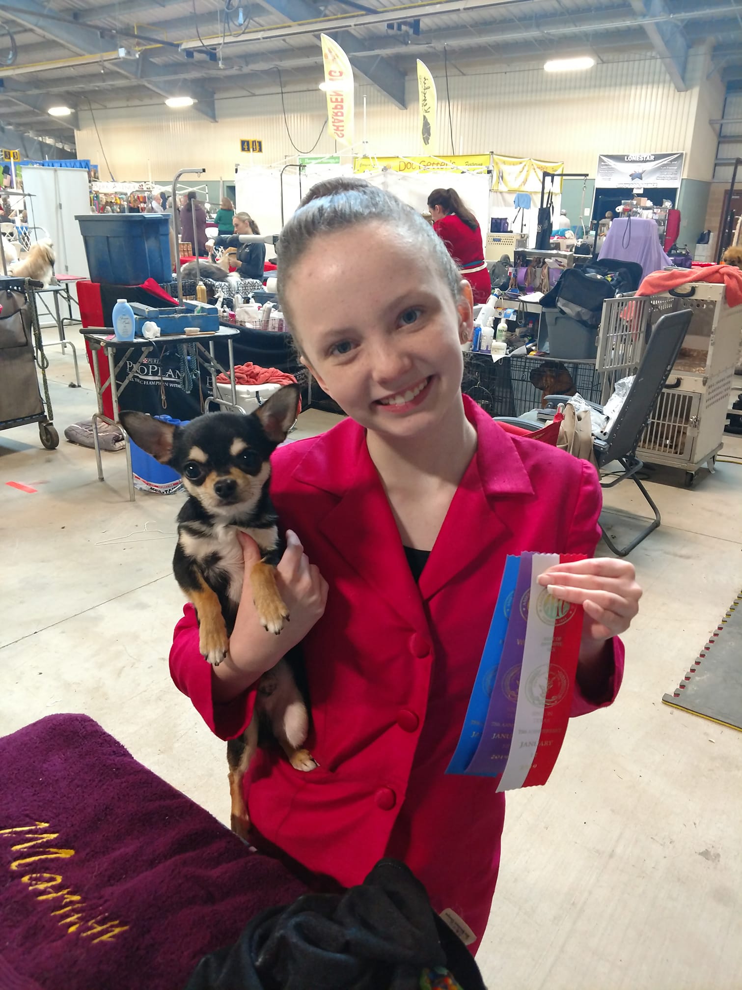 GCH CH Terlingua Dark Side Dazzler
