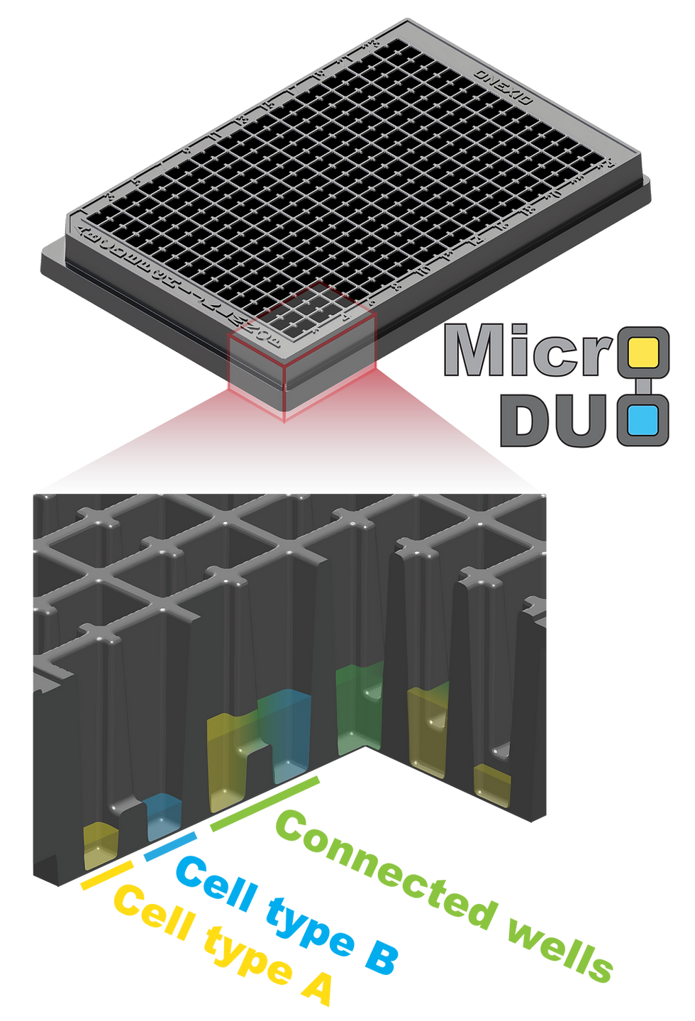 MicroDUO Cross Vert.png