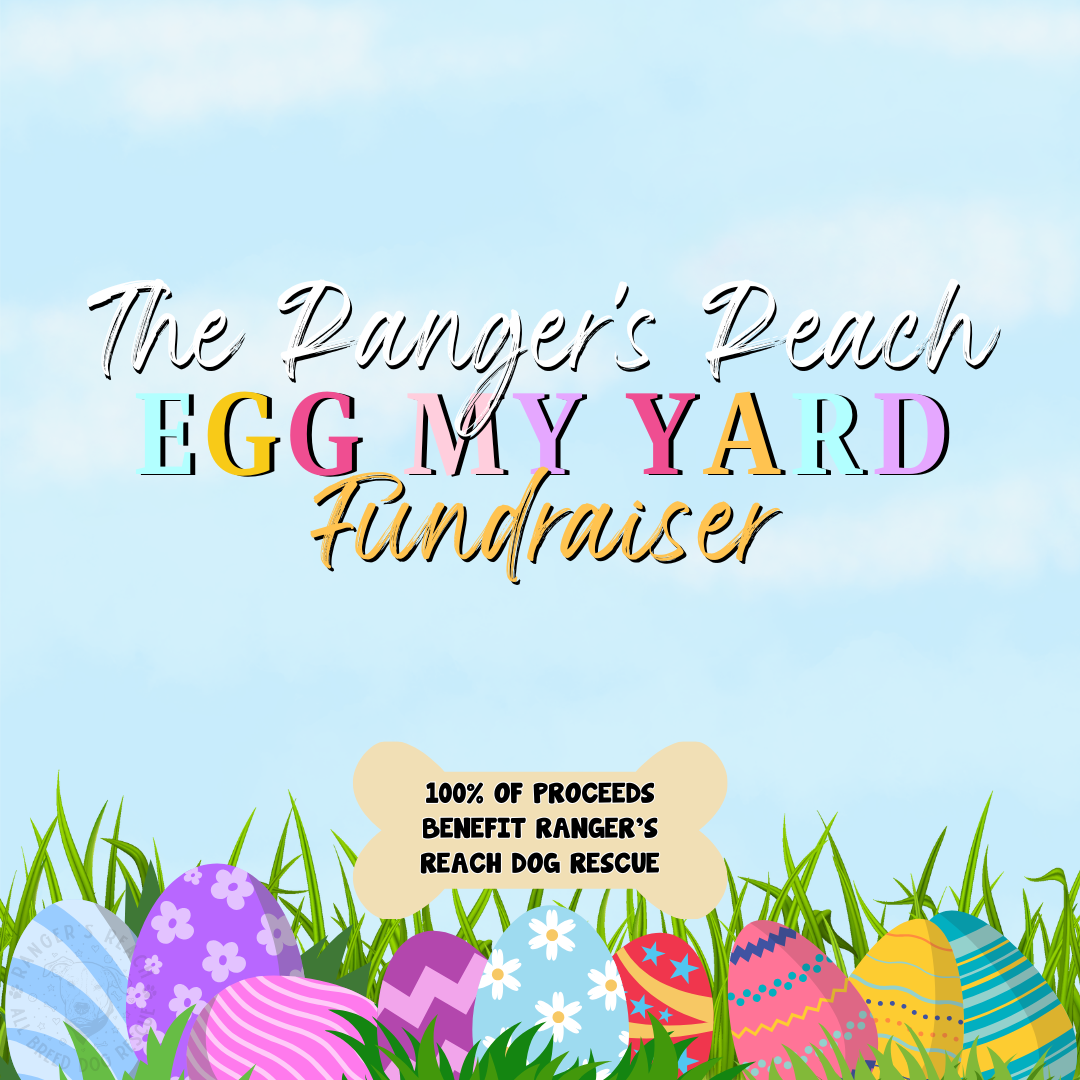 Kid Eggs - Egg My Yard Fundraiser