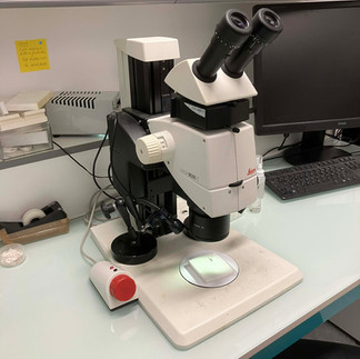 NGS-OLICIT NGS-OLICIT NGS-OLICIT NGS-OLICIT NGS-OLICIT NGS-OLICIT NGS-OLICIT NGS-OLICIT NGS-OLICIT NGS-OLICIT NGS-OLICIT NGS-OLICIT