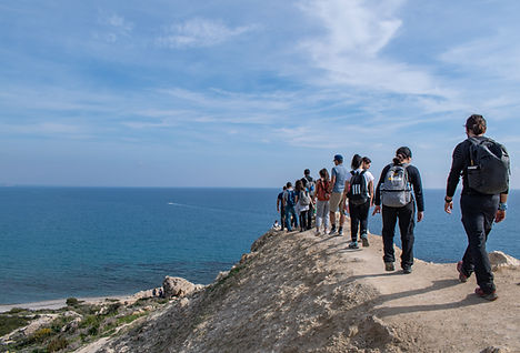 DSC_0330.jpg