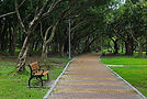empty-bench-park.jpg