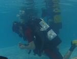 Diver Underwater Survey 12FEB23.jpeg