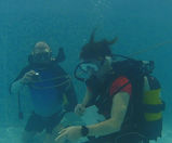 Divers Surveying 12FEB23.jpeg