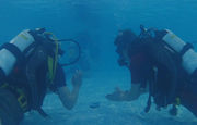 Underwater Surveying 12FEB23.jpeg