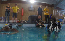 Dive Tenders Assist Divers in Testing Equipment 12FEB23.jpeg