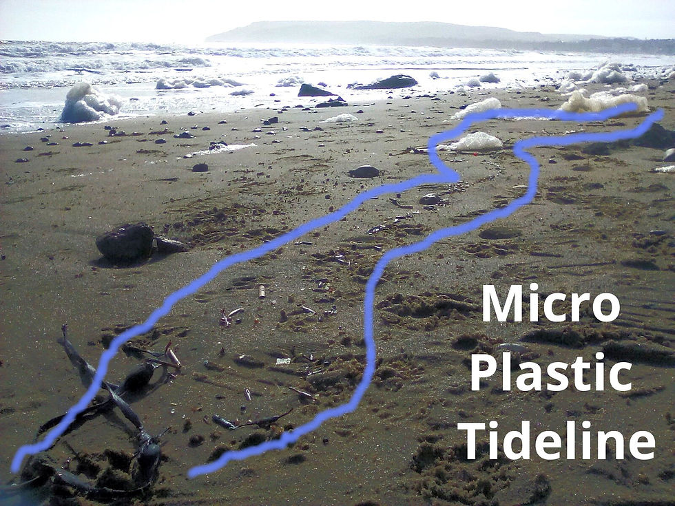 Microplastic Tideline