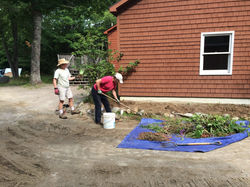 Volunteer 5