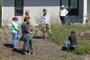 7 staking 5-15-21.JPG