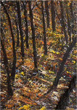 Steps in the silence