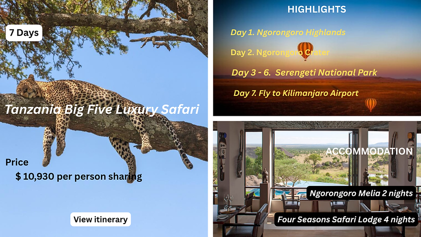Serengeti & Ngorongoro Crater .png
