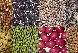 STOL composite 2png.png