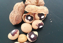 Light cream black eye.jpg