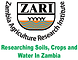 ZARI Logo (2).png