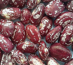 Beans speckled red_edited.jpg