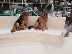 Serenity 74 (22mt)