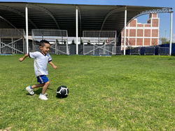 Fútbol