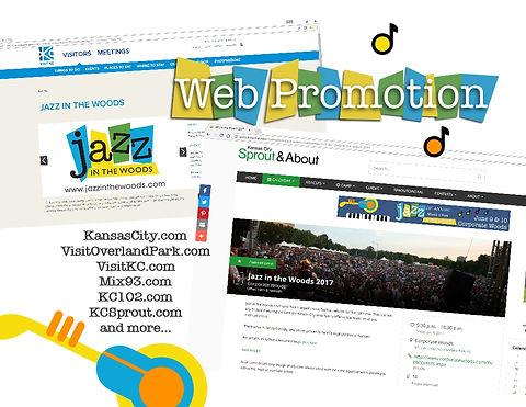 sk consulting web promotion