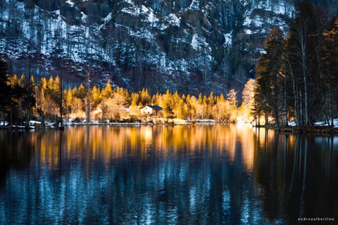 ESIA Photo competition Year 2 winners 2.png