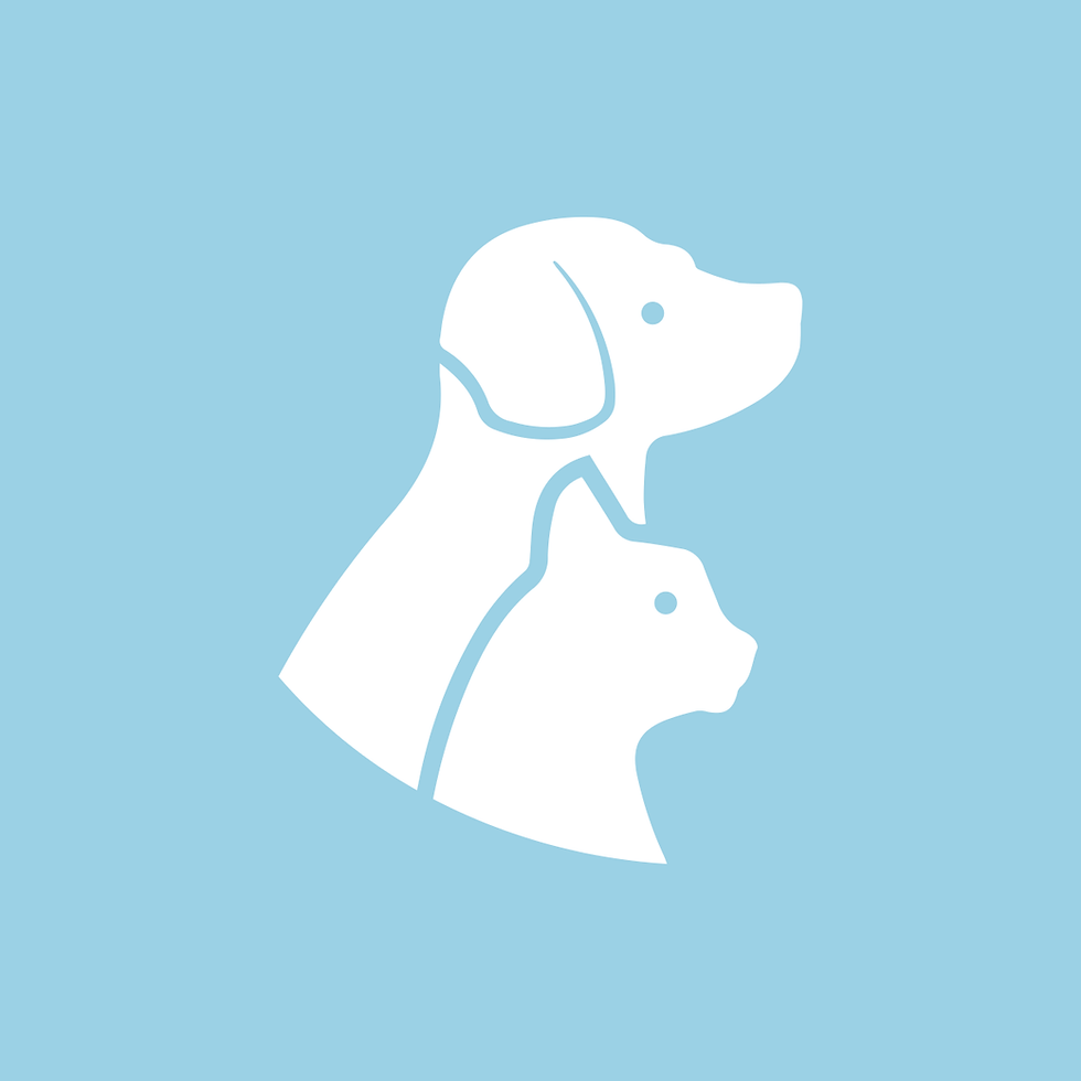 Animal shelters in Austria