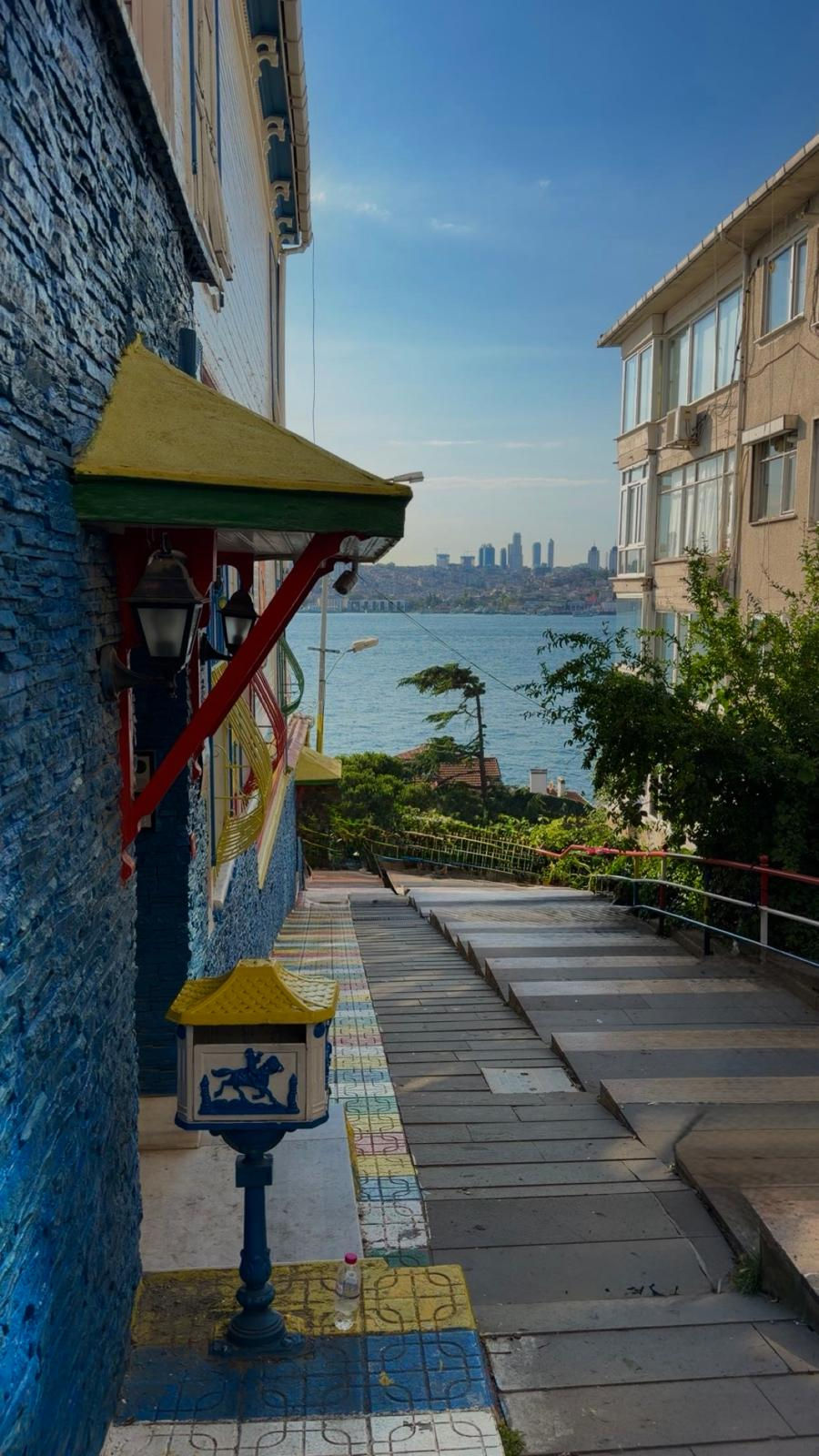 Ahlagül B: Four weeks later… Where did the time go?