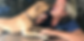 Pilot pup in clinic kissing Alex Pacheco 600 Million Dogs