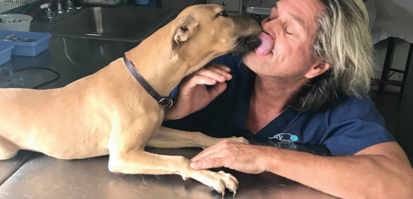 Pilot pup in clinic kissing Alex Pacheco 600 Million Dogs