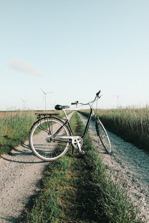 Bicycle invention Alex Pacheco 600 Million Dogs