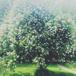 B L O G S Ynergetics