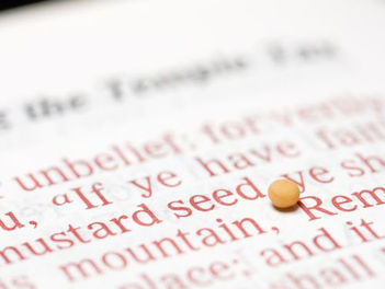 Can Mustard Seed Faith Move Mountains?