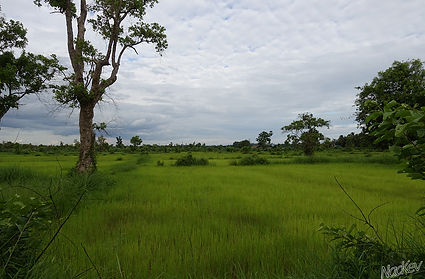 Nadkev Thailand
