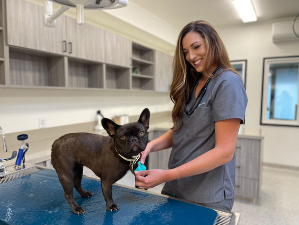 Urgent Vet Care SB (8).jpeg