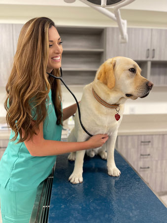 Urgent Vet Care SB (7).jpeg