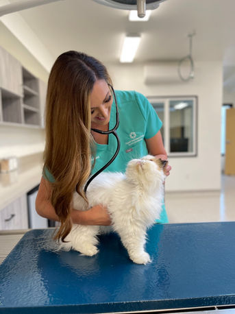 Urgent Vet Care SB (6).jpeg