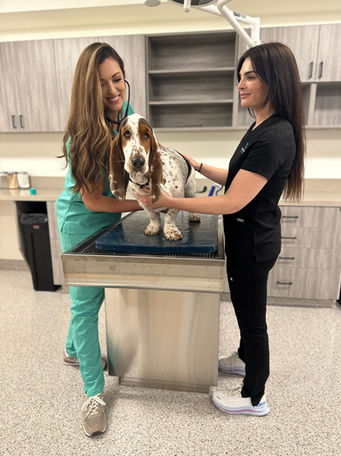 Urgent Vet Care SB (3).jpeg