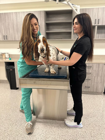 Urgent Vet Care SB (3).jpeg